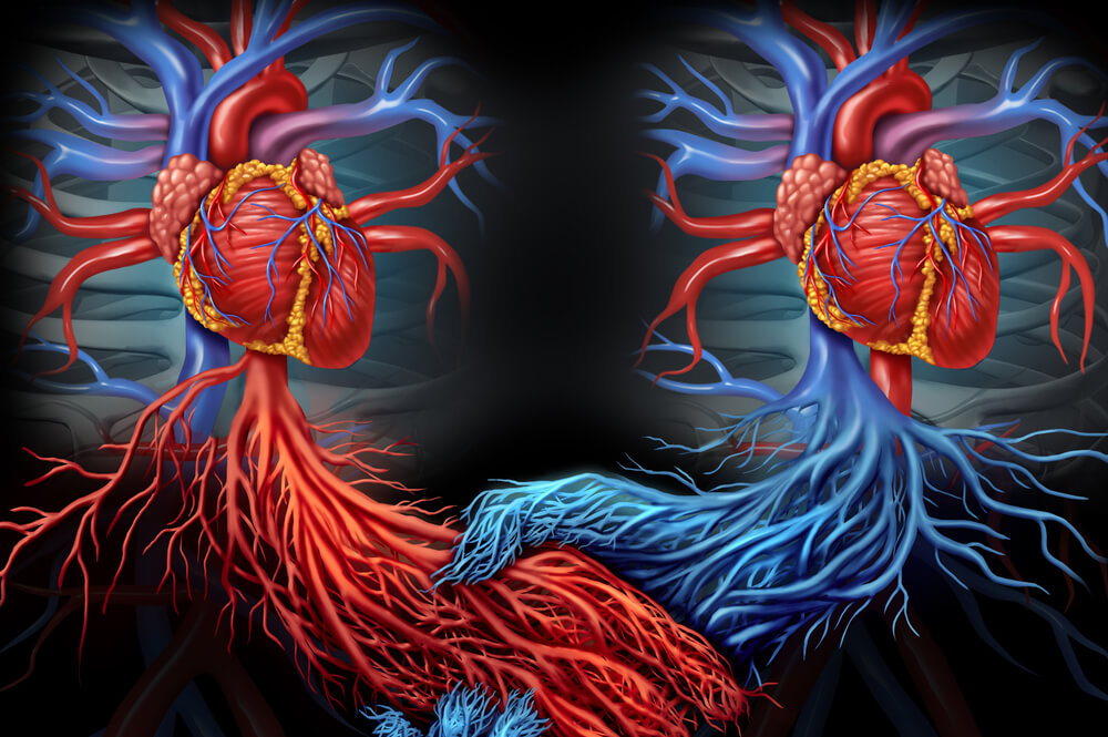 Addressing Issues Of Life And Death Through Donor Agreements Addressing Issues Of Life And Death Through Donor Agreements