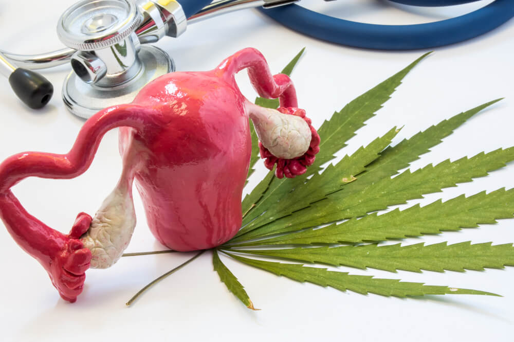 Alternative Reproductive Historical Note Alternative Reproductive Historical Note