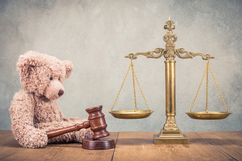 Child Support Enforcement Fairness Act Of 2000