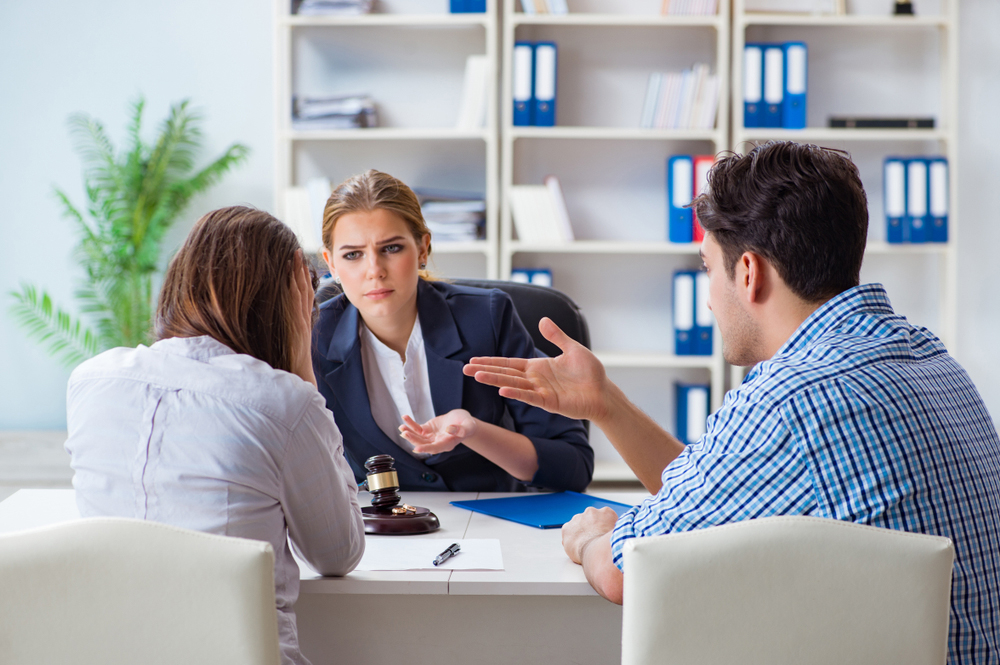 Emotions, Schedules and Visitation in Family Law