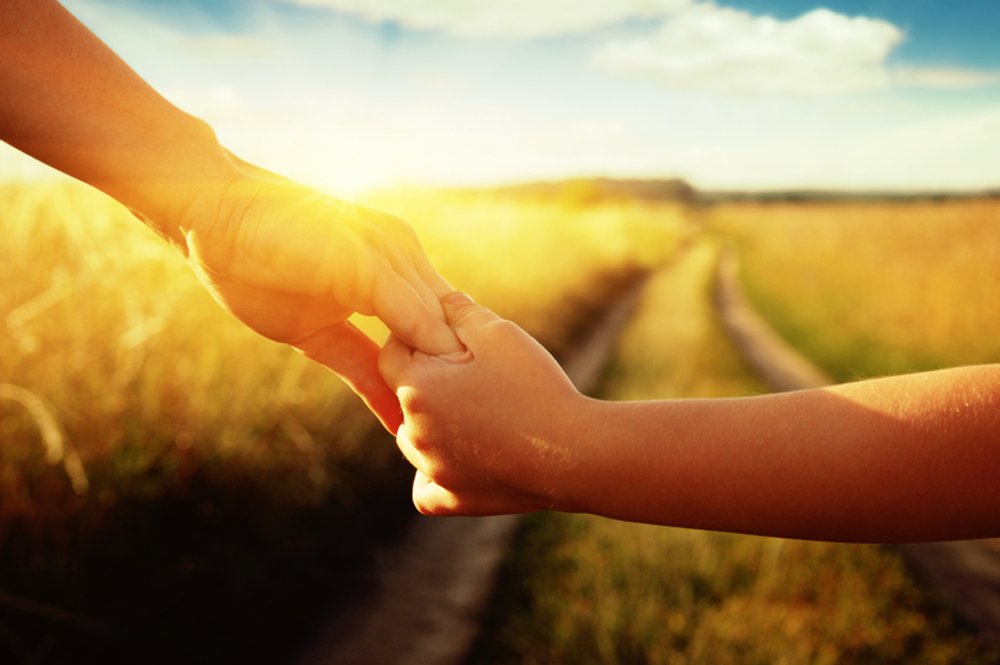 Helping Hungry Families In Santa Clarita