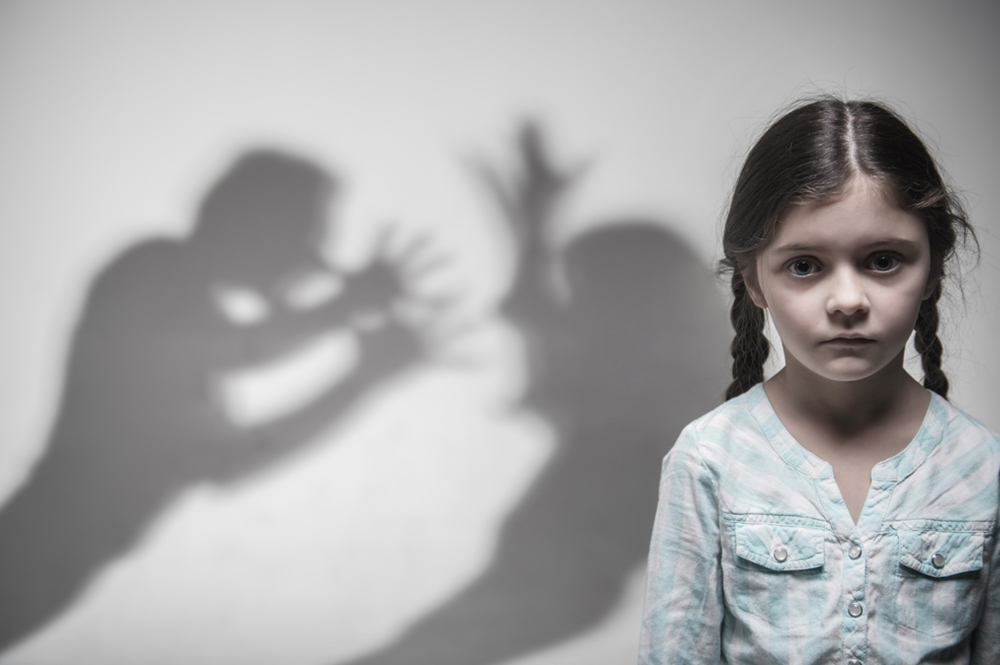 Victims Of Domestic Violence Are Not Required To Finance Their Own Abuse
