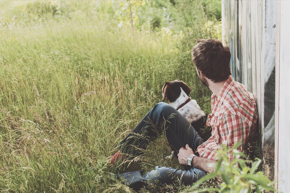 When A Couple Divorce, Who Gets Custody Of The Dog?